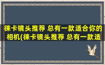 徕卡镜头推荐 总有一款适合你的相机(徕卡镜头推荐 总有一款适合你看的)